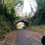 IMG_20241116_125355